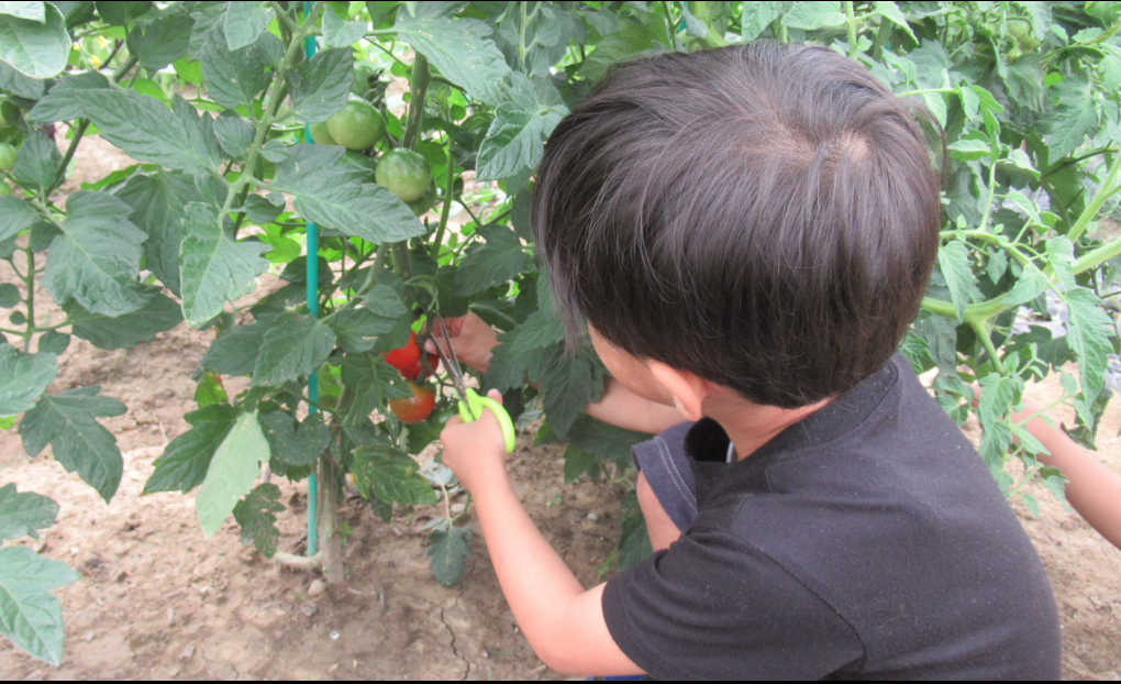 あなたも参加しませんか？
