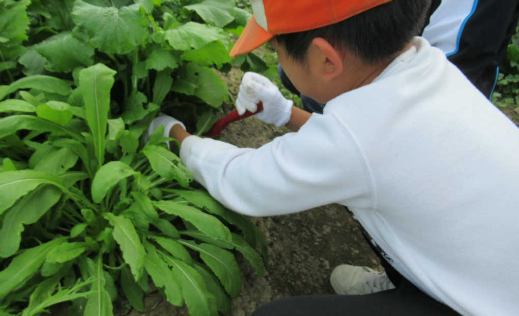 楽しく活動しています。